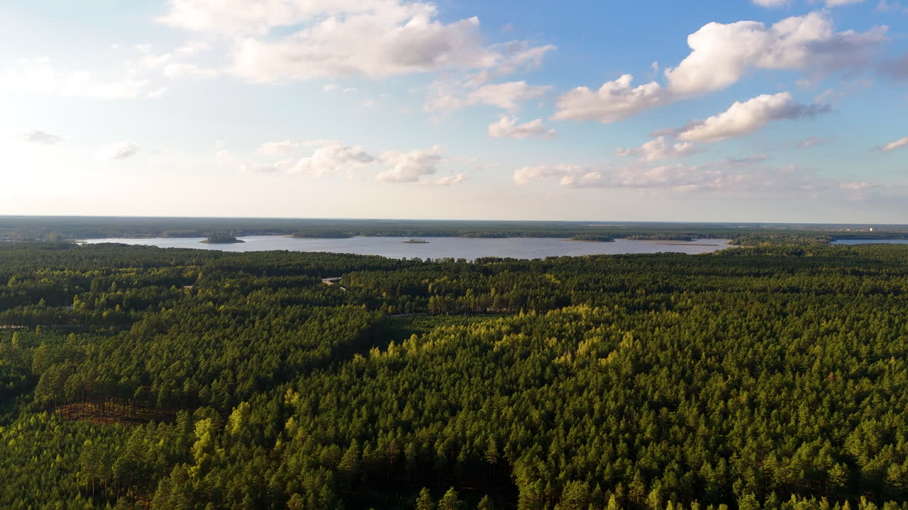 라트비아의 마자이스 발테저스 호수 주변의 광활한 숲 풍경.