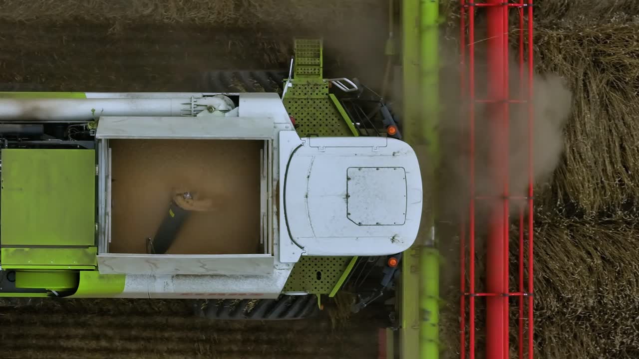 комбайн собирает урожай на пшеничном поле