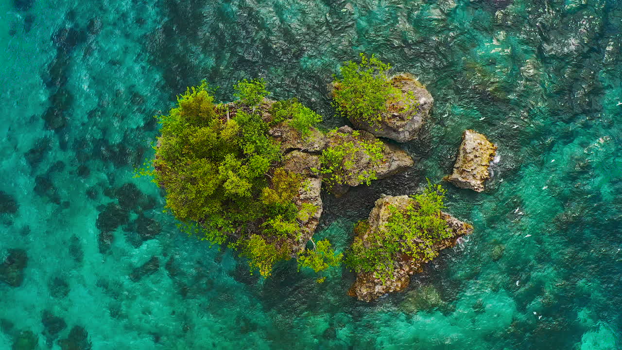 la madre naturaleza es pura magia.