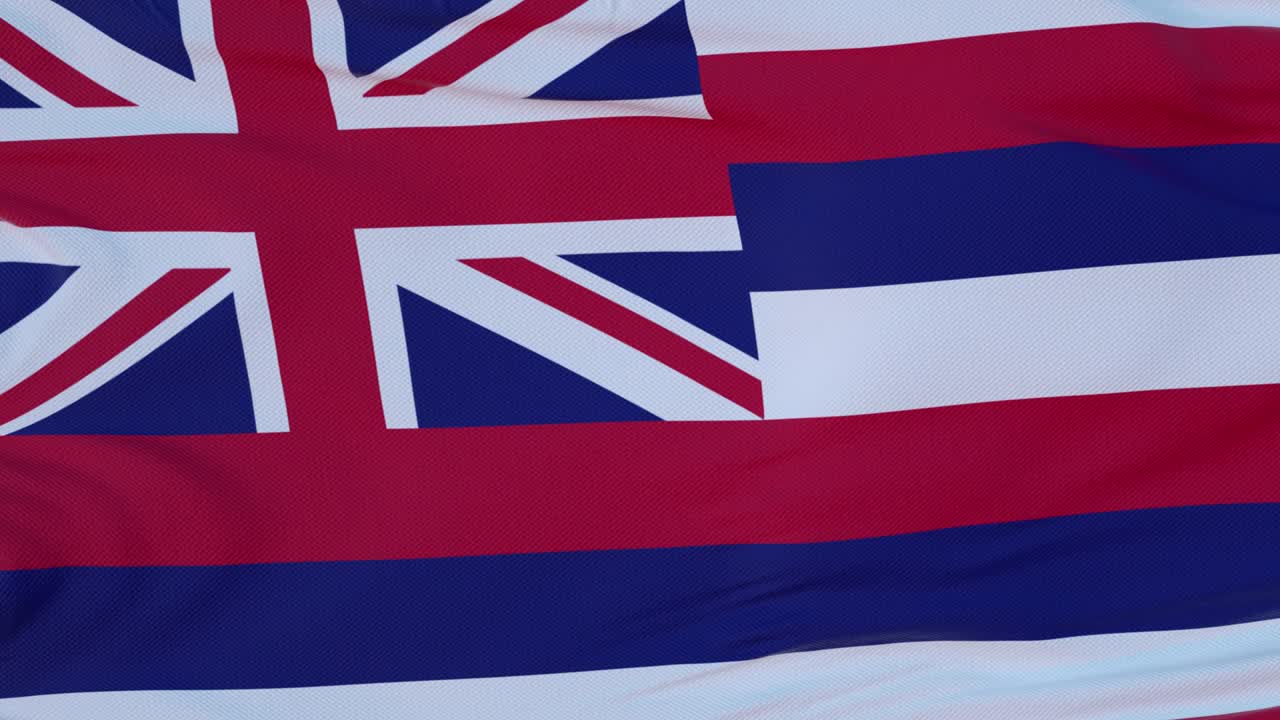 미국 하와이 주의 발이 바람에 흔들리고 있다.