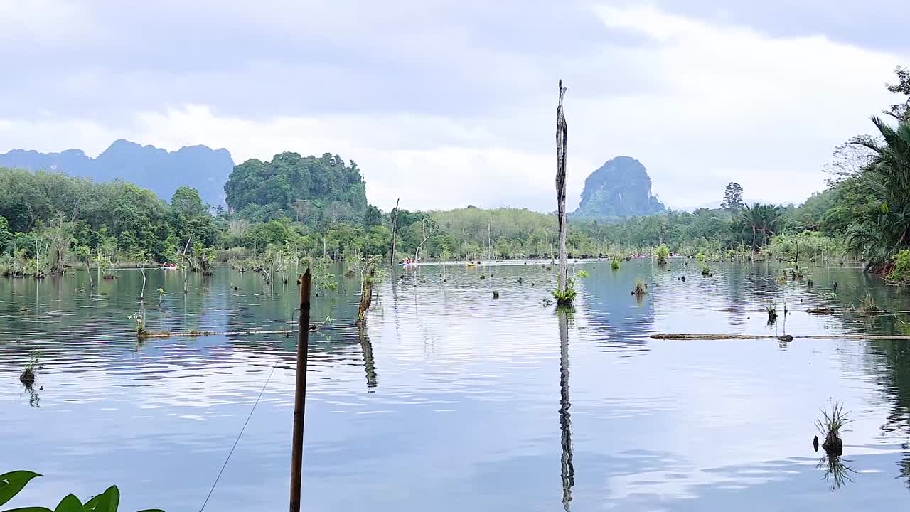 Serene Lake in Tropical Mountains
