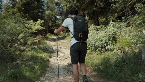 Camera-tracking-iker-from-behind-up-a-hill-on-a-forest-path-past-the-various-conifer-trees,-sun-is-shining