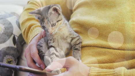 spots of light against mid section of a woman using smartphone while her cat sitting on her lap