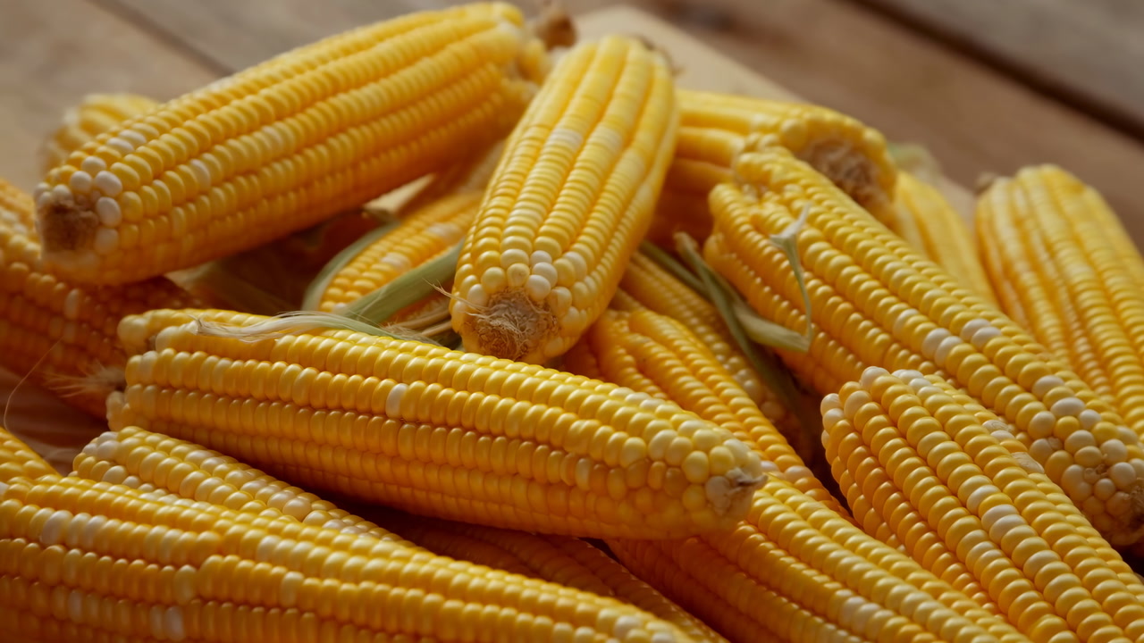 Golden Corn Cobs Piled On Wood, Close Up Showcasing Glossy Kernels, Rustic Texture And Warm Sunlight Farmhand