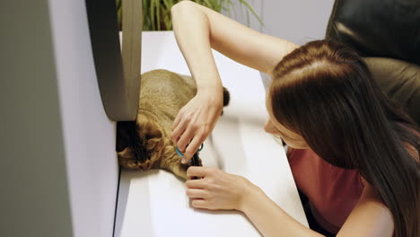 mujer arreglando las uñas de un gato