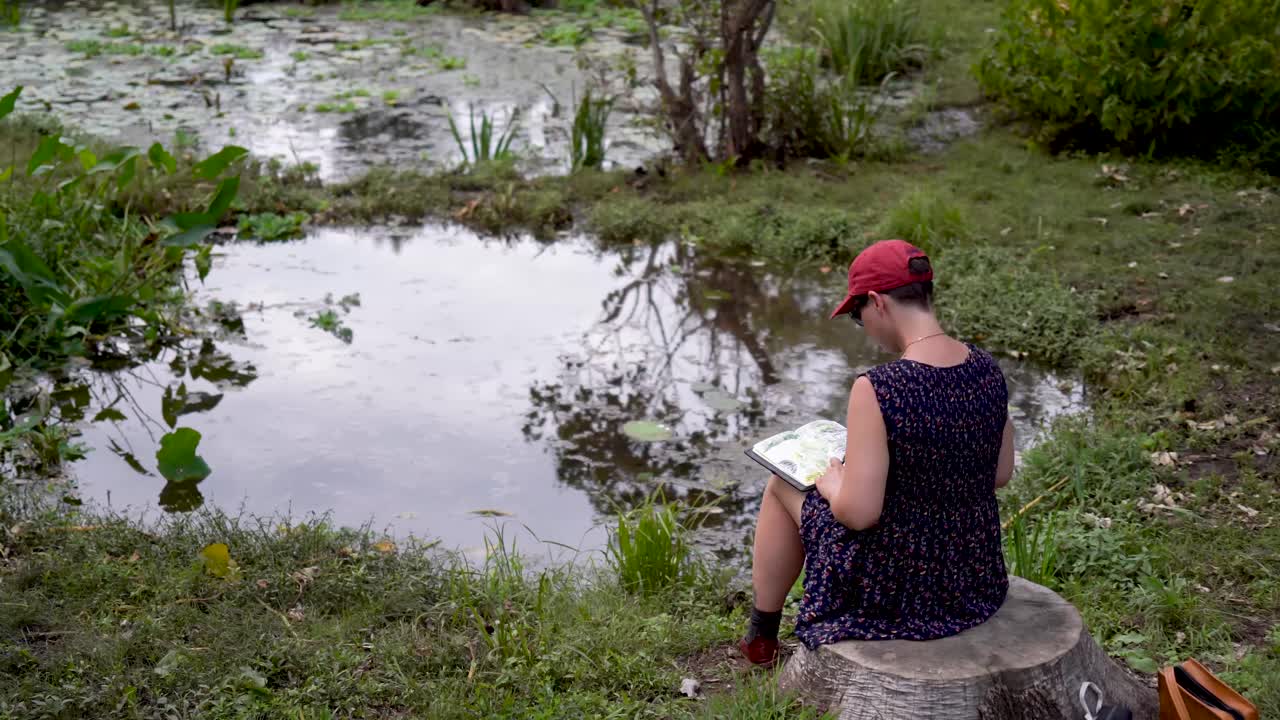 카메라가 위아래로 움직인다 드레스를 입은 여성이 그루터기 옆에 앉아 연못 옆 책에 그림을 그리고 있다
