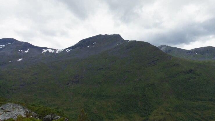 Bred bjergskråning dækket af grøn sommervækst med små sneflekker under en overskyet himmel i Sunnmøre