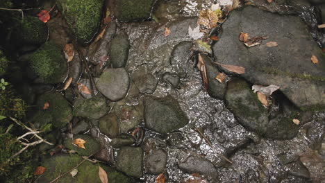 Top-down-pan-across-a-small-stream-running-in-between-dark-rocks-in-slow-motion