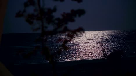 the night sea illuminates the moon