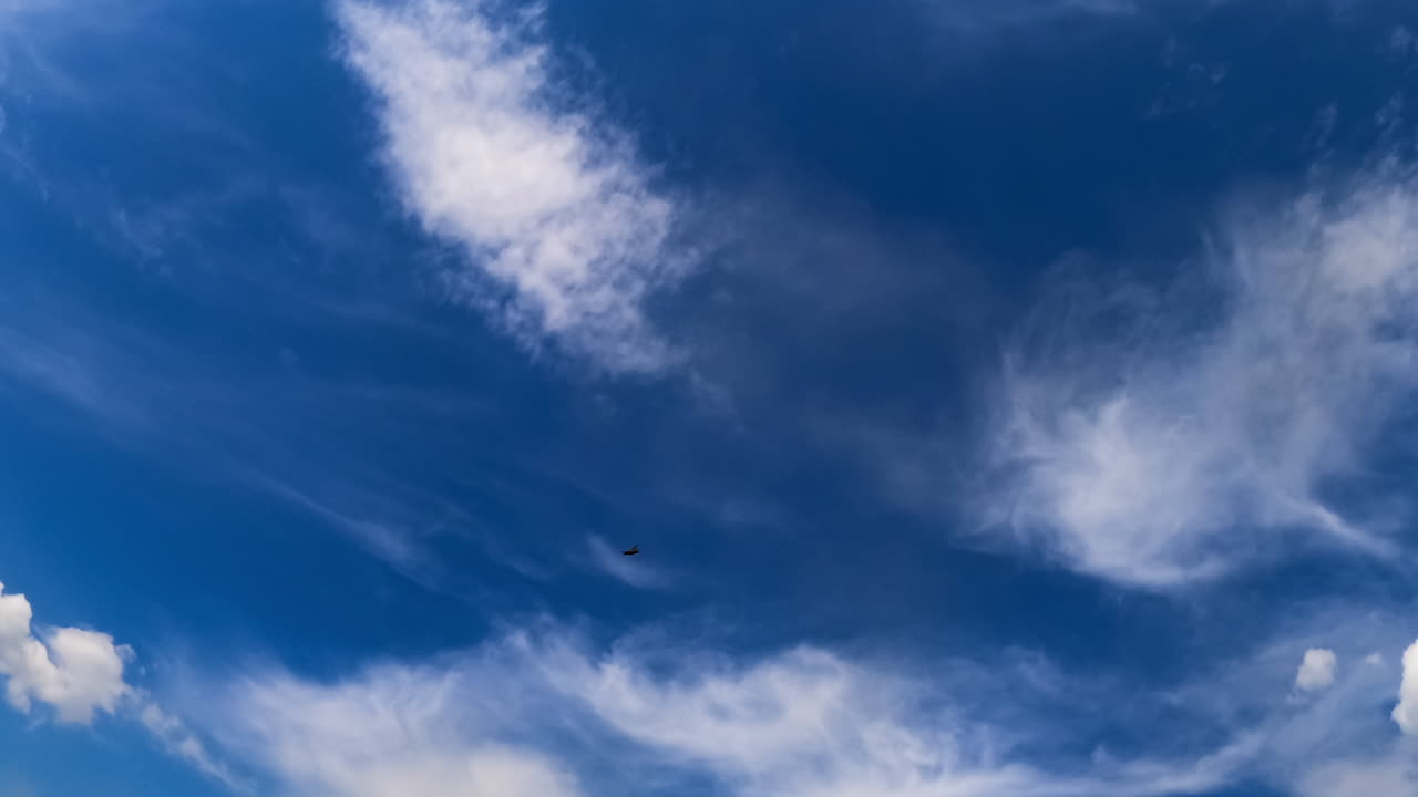 Piccole nuvole chiare in un fantastico cielo blu. Cielo ventoso in una giornata estiva visto da una angolazione inferiore. Timelapse