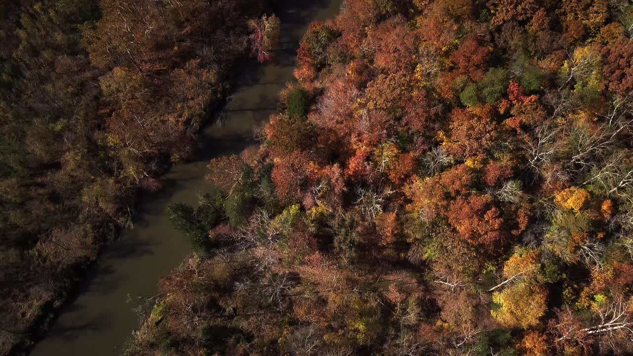 drone, aérea, vista de pájaro, inclinación hacia arriba comenzando desde arriba hacia abajo vista de árboles vibrantes de otoño y río terminando con el paisaje de las montañas blue ridge y el cielo azul brillante en virginia, estados unidos