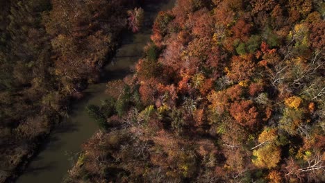 drone, aerial, birds eye view, upward tilt starting from top down view of vibrant fall trees and river ending with landscape of the blue ridge mountains and bright blue sky in virginia, usa