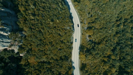 aerial of cars driving on winding forest road through scenic landscape, top view