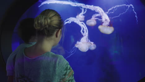 mother and child look at the aquarium where jellyfish swim