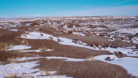 gimbal-shot-of-snowy-petrified-forest