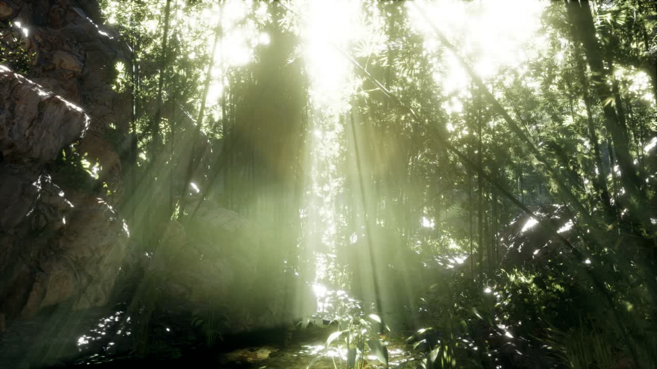 돌이 있는 연못의 연안 근처에 있는 울창한 초록색 대나무 잎.