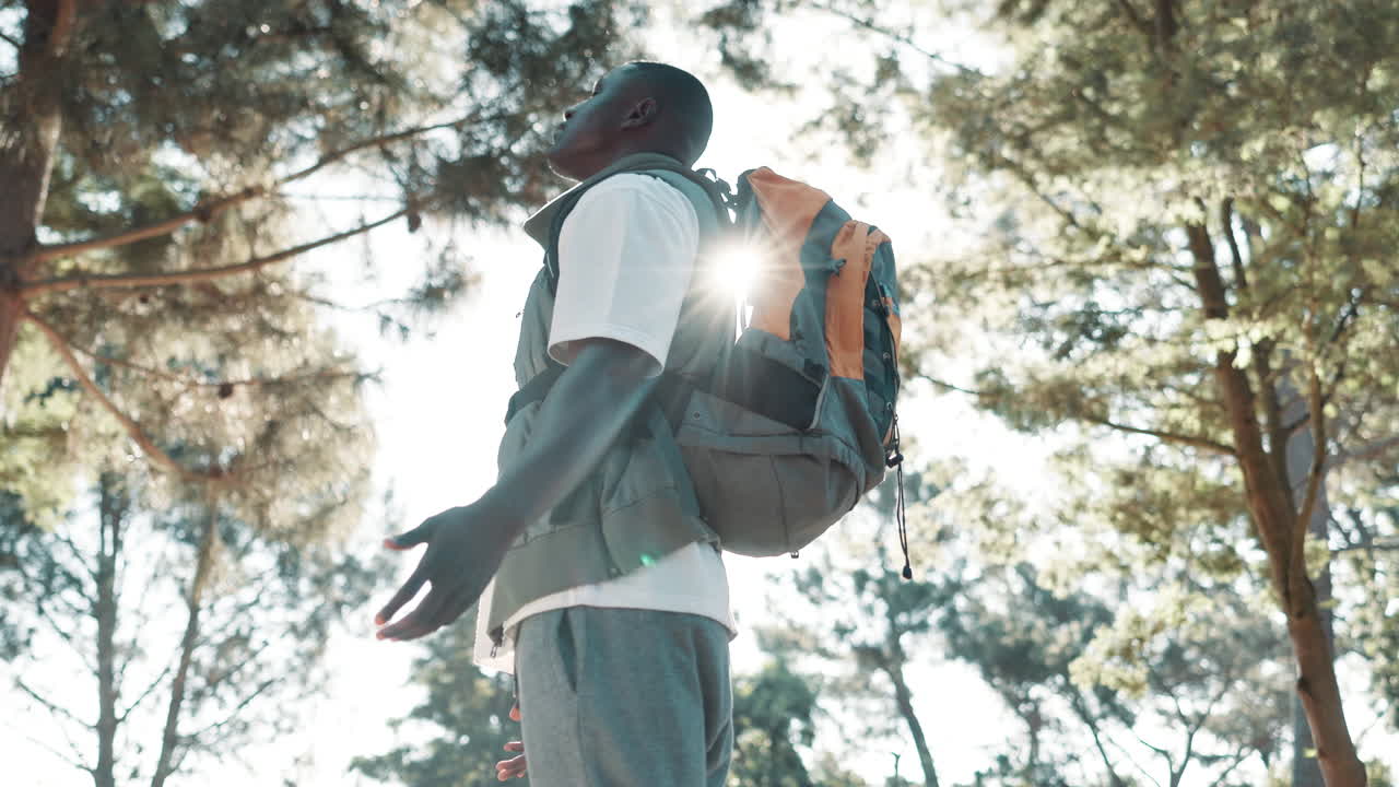 Man with backpack in forest looking up