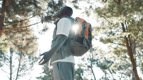 man with backpack in forest looking up