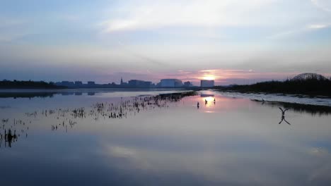 Erstaunliche-Luftaufnahmen-Von-Drohnen-Bei-Sonnenaufgang-über-Dem-See,-Vögel-Fliegen-Auf-Dem-See-Davon