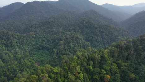 aerial shot flying backwards tilting slightly down above ridge in the rainforest of gunung leuser national park, the tropical rainforest heritage of sumatra, indonesia