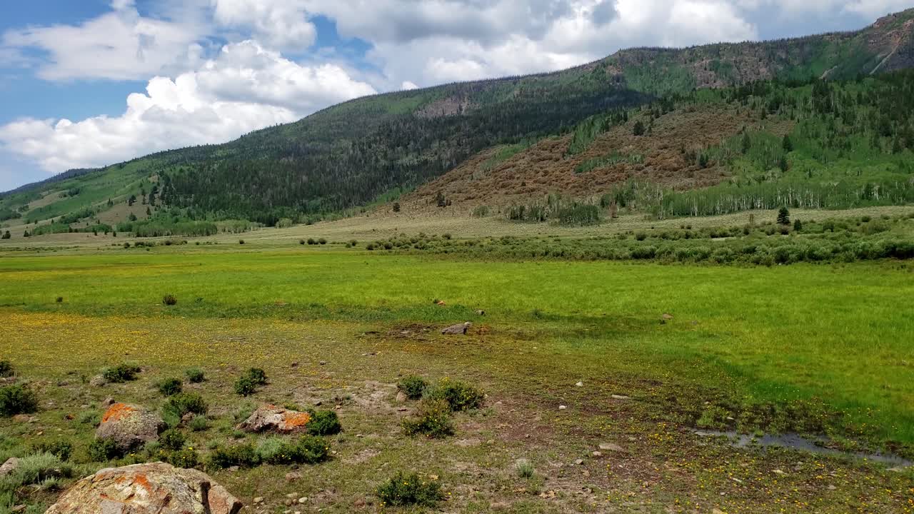 fish lake national forest y scenic byway en un panorama lento bajo el cielo azul de verano