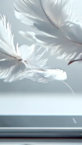 a white phone with feathers scattered around it. the feathers are in various sizes and are falling from different angles, creating a sense of movement and chaos. the scene evokes a feeling of disarray