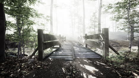 wooden bridge in the forest in the fog