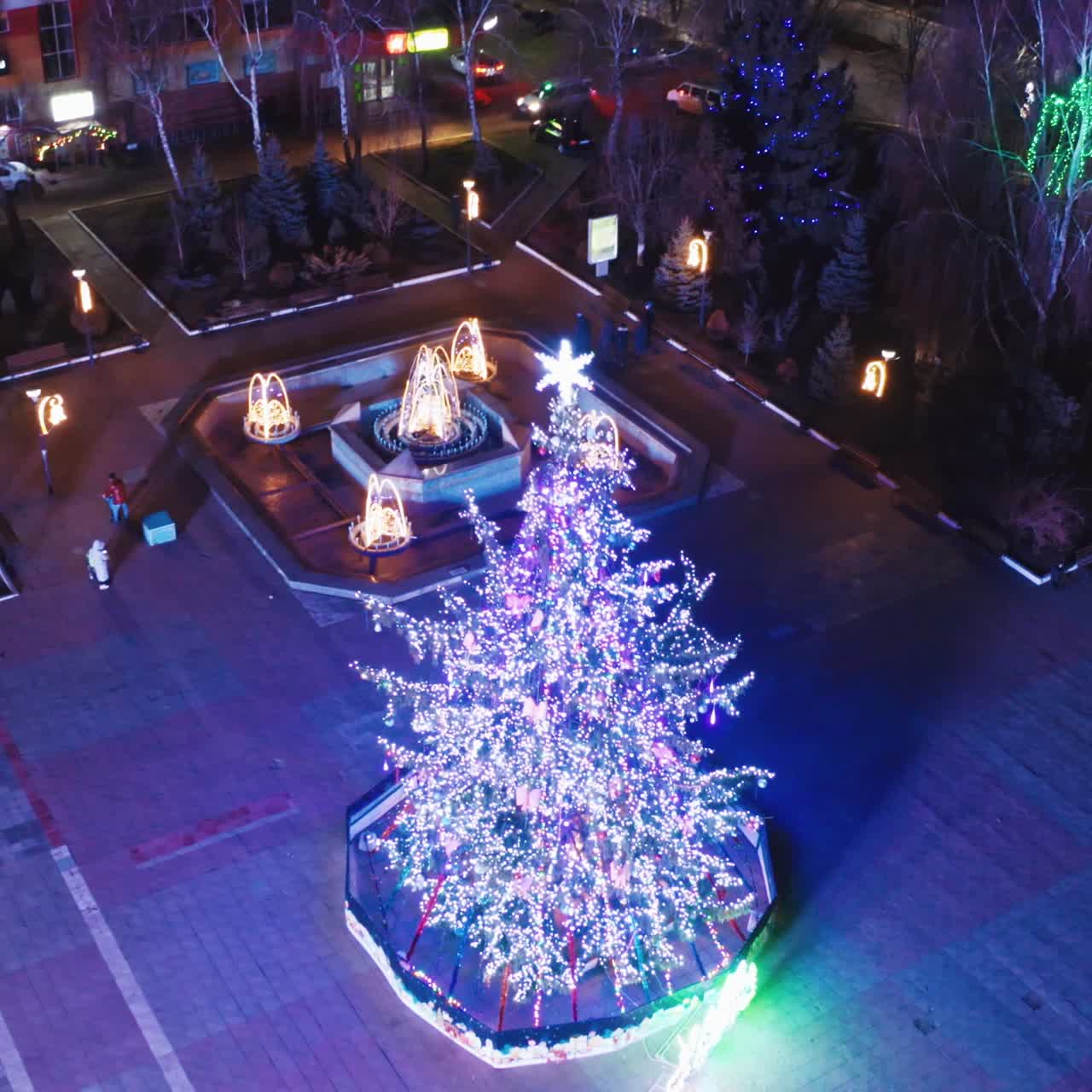 Christmas tree on street