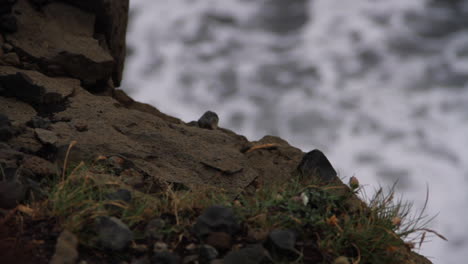 waves splash against shore on icelandic black sand beach with rock in foreground