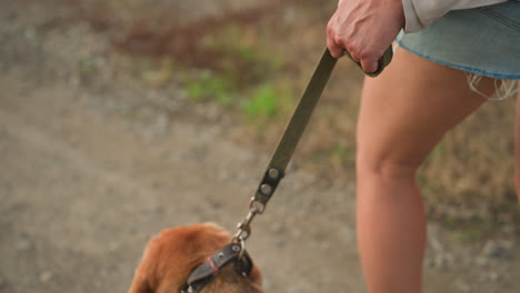 close up of person wearing denim shorts holding dog leash while walking along dirt road, hand veins visible, dog partially visible, rural setting, blurred background featuring green plants and grass