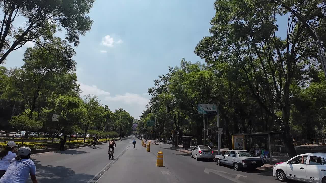 Sunny Day in Mexico City: Cycling and Walking Along a Tree-Lined Avenue