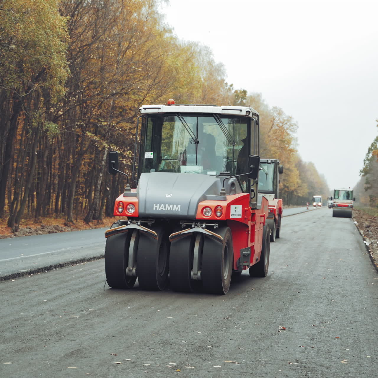 Asphalt roller that stuck and press hot asphalt while making a new road in autumn. Road repair machines with heavy vibration rollers compactor are working on a road.