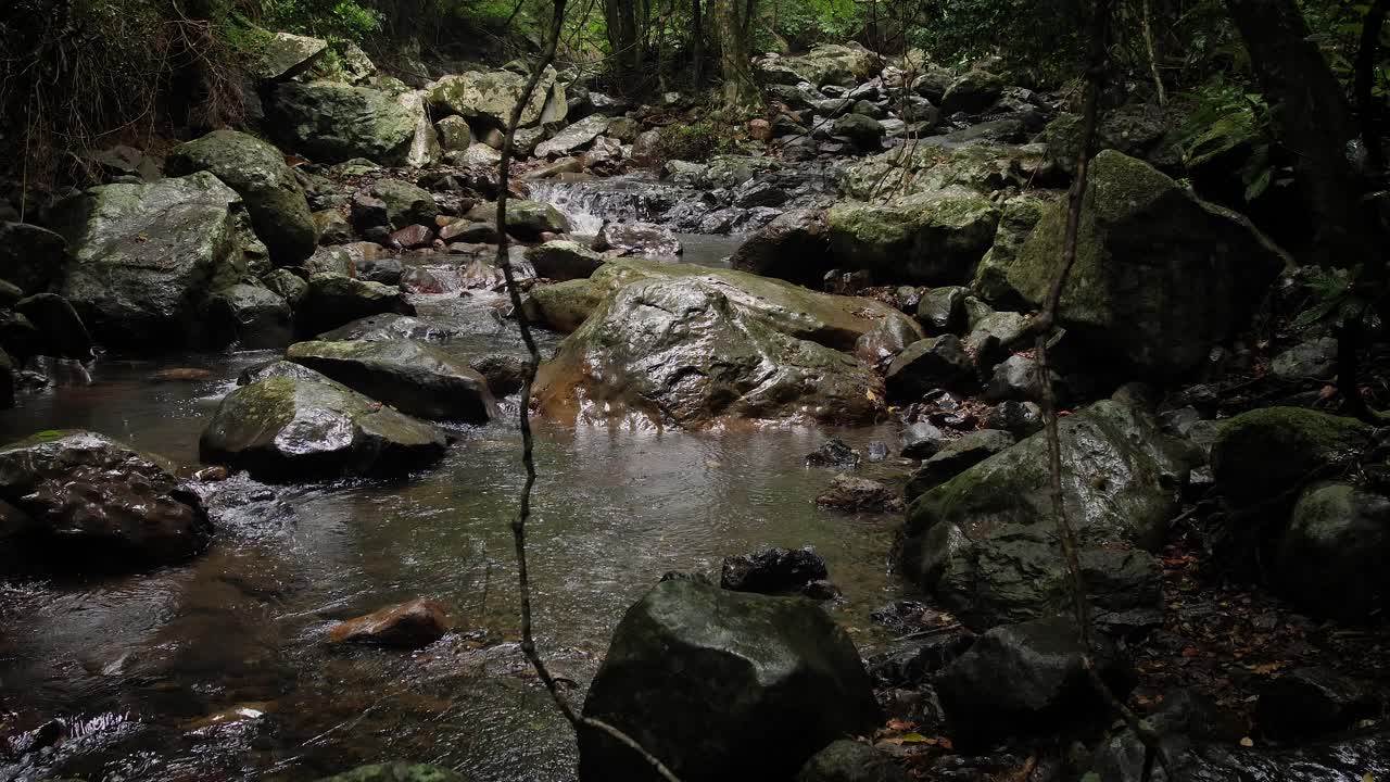 Aliran Air di Jembatan Alam, Taman Nasional Springbrook, Pedalaman Gold Coast, Australia