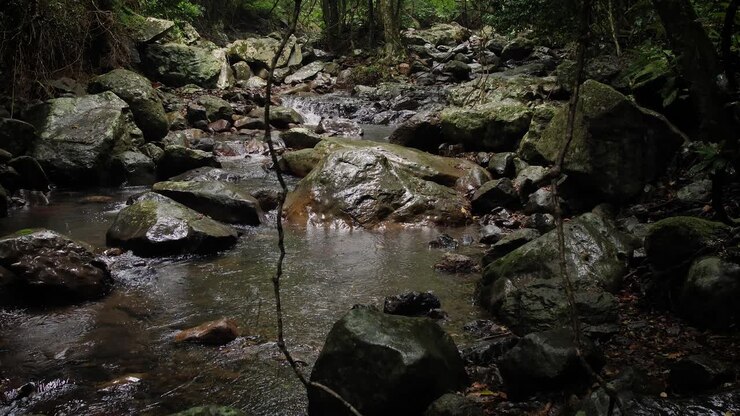 Sreams in Natural Bridge, Springbrook National Park, Gold Coast Hinterland, Australia