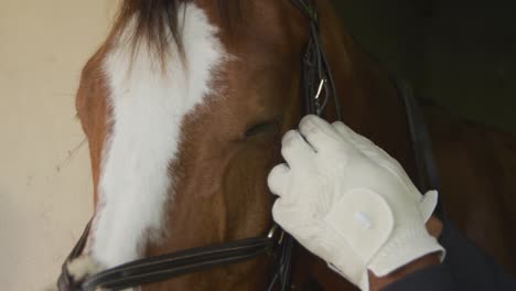 african american man adjusting bridle on dressage horse