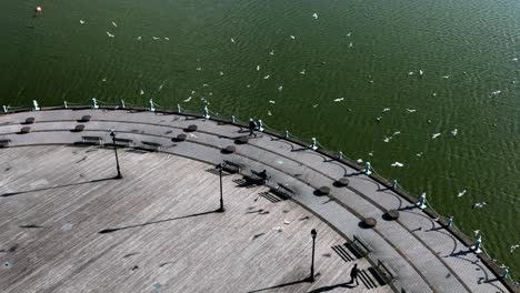 An-aerial-view-of-the-semicircle-boardwalk-on-Meadow-Lake-in-Queens,-New-York-on-a-sunny-day