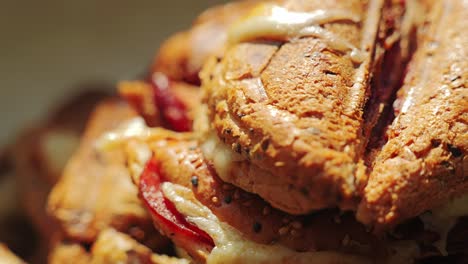 toasted sandwich with multigrain bread and melted cheese in natural soft light