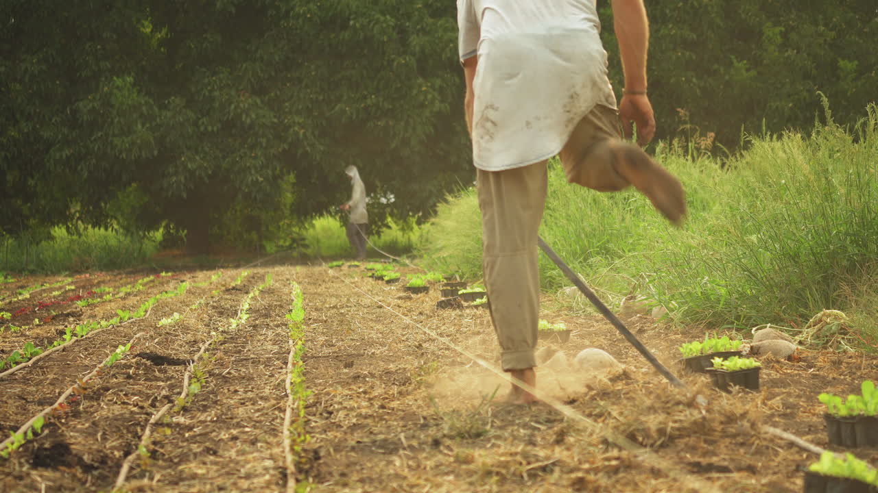 dos jóvenes colocando una tubería de agua para preparar el parche de la granja para la agricultura orgánica