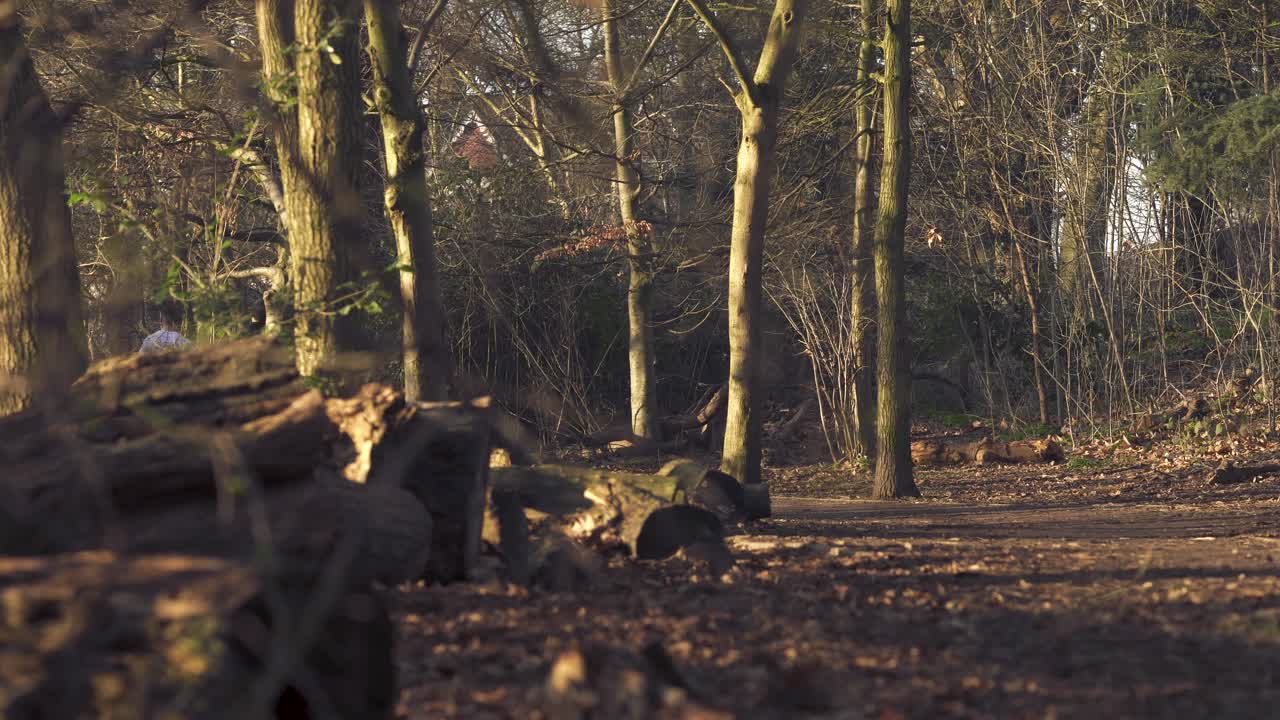 Two men are running in Queens Park in the golden hour
