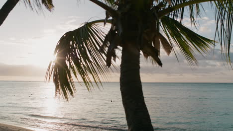 Eine-Ruhige-Strandszene-Mit-Einer-Palme,-Die-Sanft-In-Der-Brise-Wiegt,-Während-Die-Sonne-über-Dem-Ruhigen-Meer-Untergeht