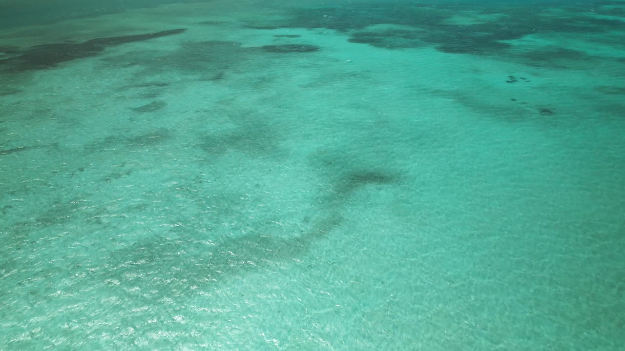 토바고 열대 섬의 나일론 풀 수정처럼 맑은 수영장 드론 뷰