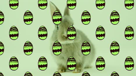 animation of green patterned easter eggs and easter bunny over green background