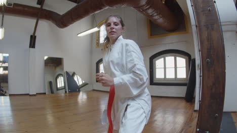 front view of martial artist punching and kicking at camera