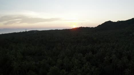 Nightfall-above-Koh-Phangan-tropical-island-of-Thailand,-dark-forest