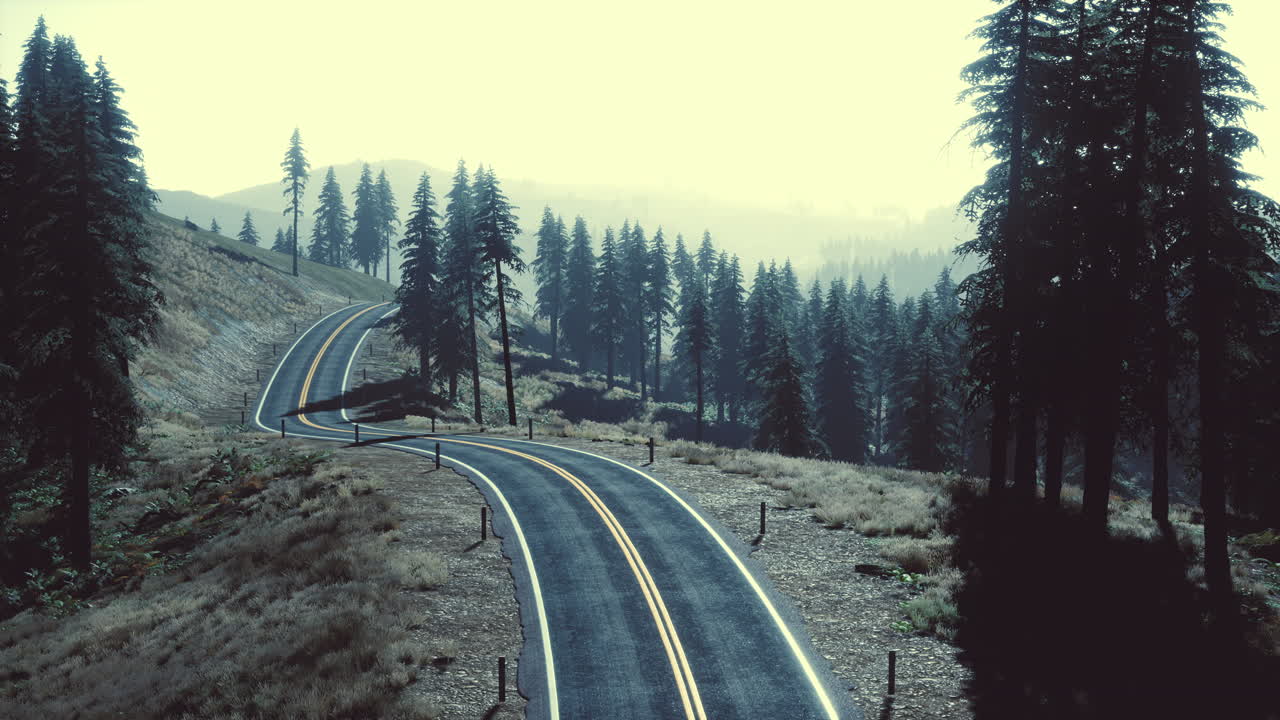 여름 날 에 휘어지는 도로 에 대한 공중 전망