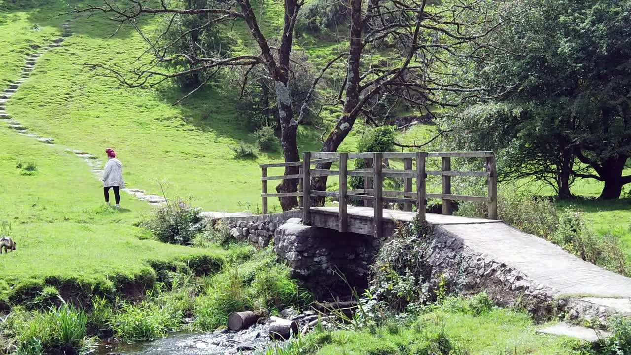 빨간색 드레드락을 입은 여성이 잔디 언덕을  ⁇ 고 강아지와 놀고, 앞면에 나무 촌스러운 다리가 있는 느린 동작