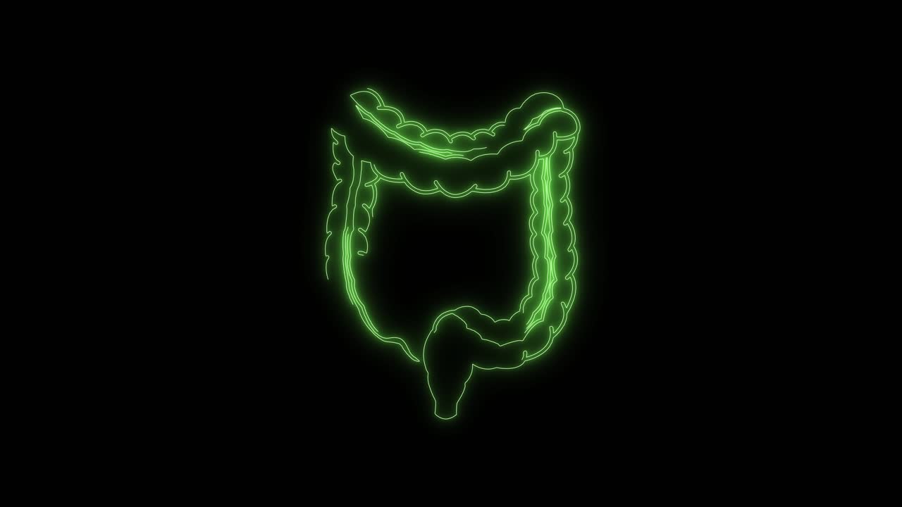Animation eines leuchtenden grünen Neon-Umrisses des menschlichen Dickdarms