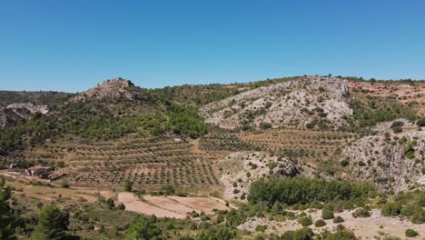 Plataforma-Rodante-Aérea-En-Campos-De-Olivos-En-Colinas,-Teruel,-España.