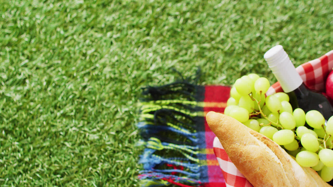 신선한, 포도, 와인의 비디오 담요와 잔디에 복사 공간을 가진 gingham 식탁 천