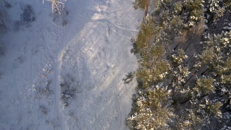 antena: toma de arriba hacia abajo de volar por encima de las líneas de cable de electricidad en el bosque en el día de invierno